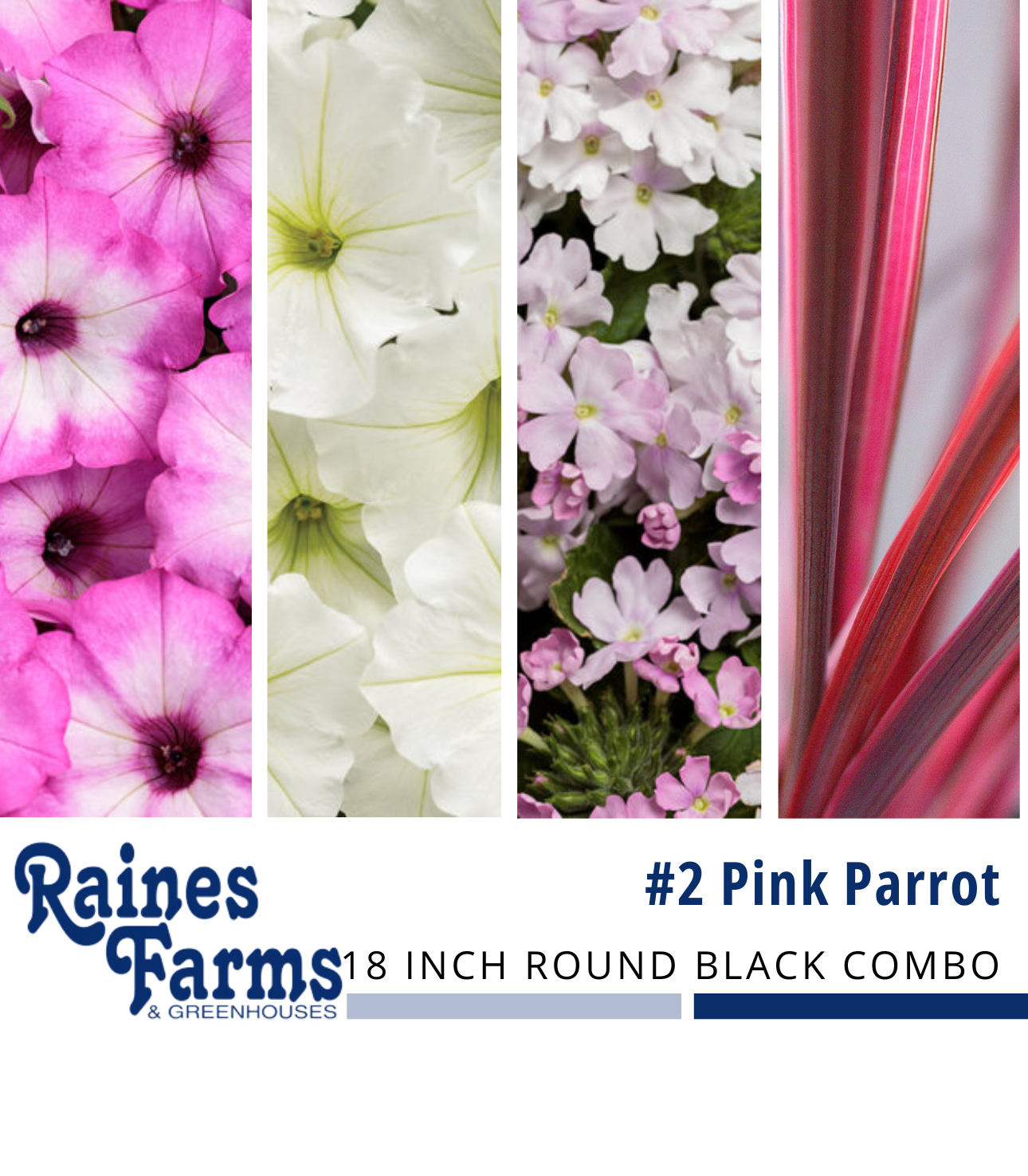 #2: Pink Parrot 18 Inch Round Black Combo